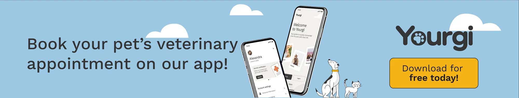 veterinary banner